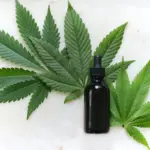 CBN Tincture 4000mg