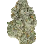 Zuava -AAAA (Indica Dominant Hybrid)