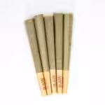Apple Fritter - Pre Rolls  (Hybrid)