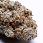 Mandarin Cookies - AAA (Sativa Dominant Hybrid)