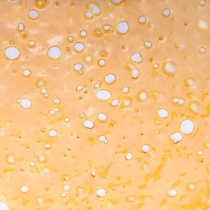 GMO Cookies -Shatter (Indica)